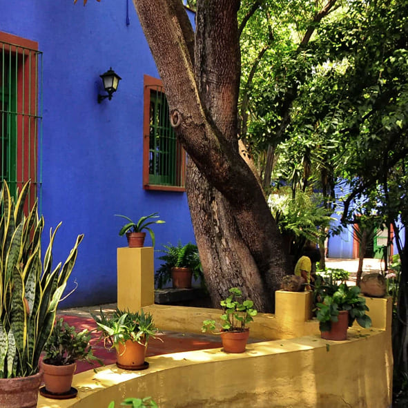 Visitar el Museo Frida Kahlo – CIUDAD DE MÉXICO, MUSEOS